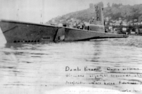 TR-1950_DUMLUPINAR.jpg