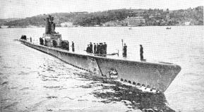 TR-TCG_DUMLUPINAR_s341.jpg